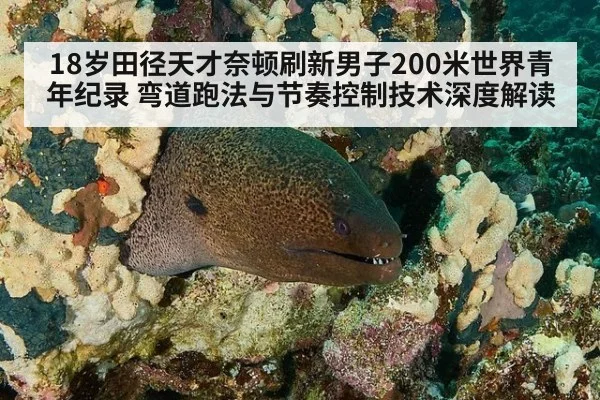 18岁田径天才奈顿刷新男子200米世界青年纪录 弯道跑法与节奏控制技术深度解读