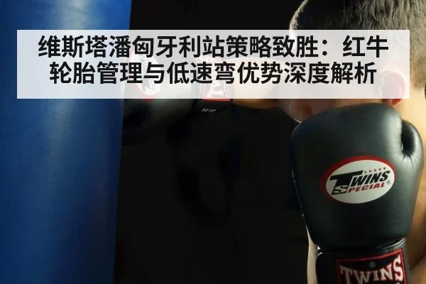 维斯塔潘匈牙利站策略致胜：红牛轮胎管理与低速弯优势深度解析